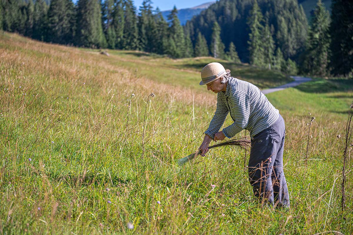 Das Berner Oberland: Ein Besengebiet