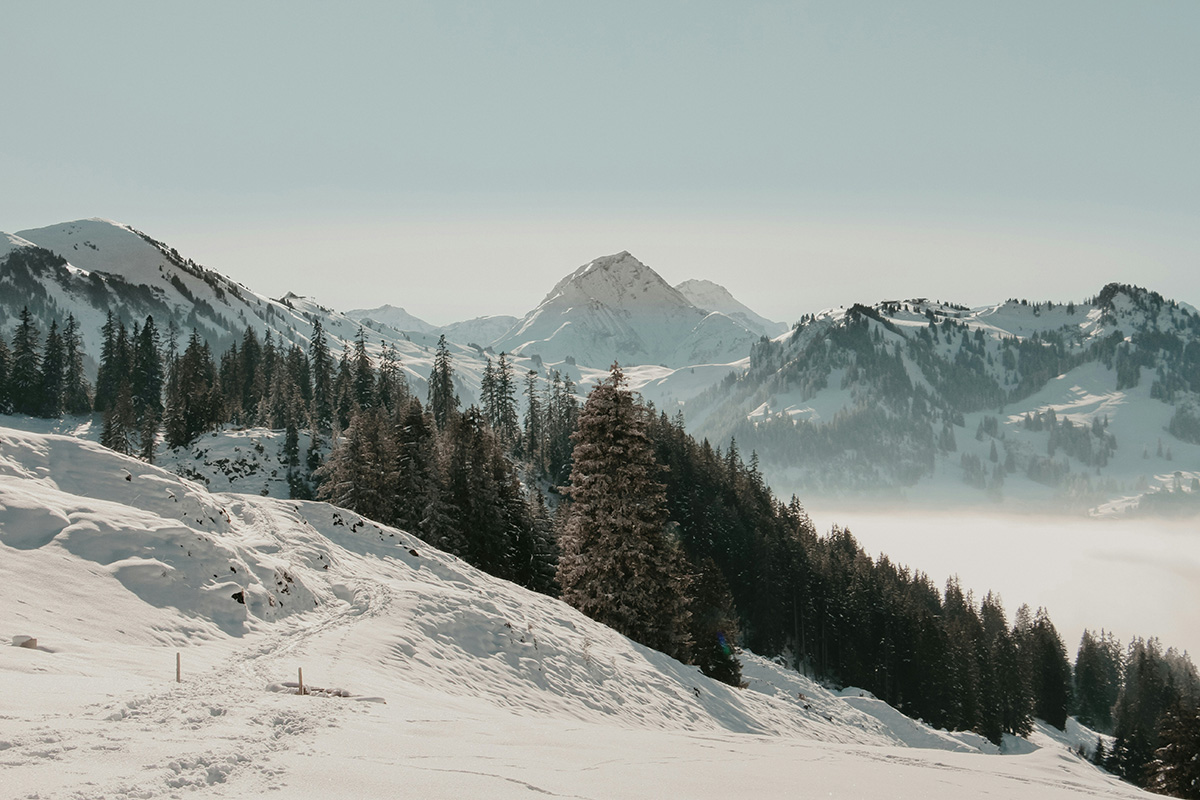 Blickpunkt Berner Oberland im Februar 2024