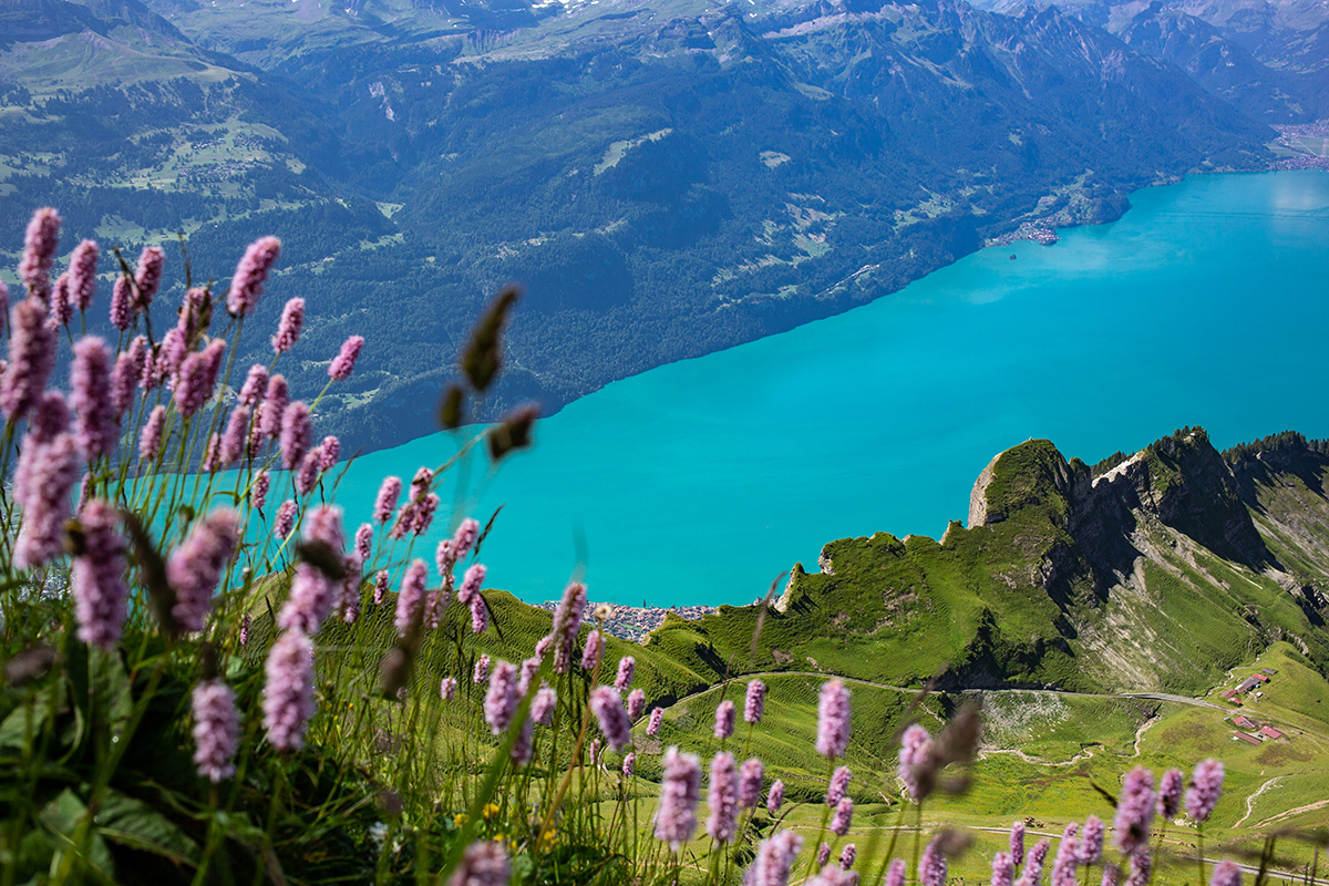 Blickpunkt Berner Oberland im April 2024