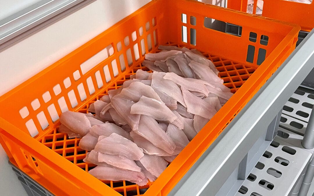 Nachhaltige Fischzucht aus Ringgenberg