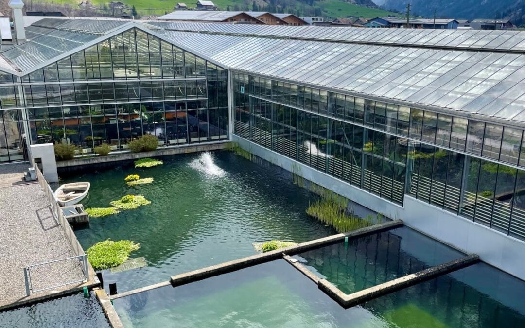 Firmenbesuch im Tropenhaus Frutigen, April 2023