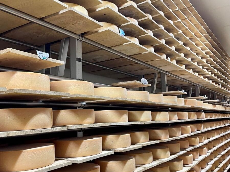 Firmenbesuch bei Lenk Milch