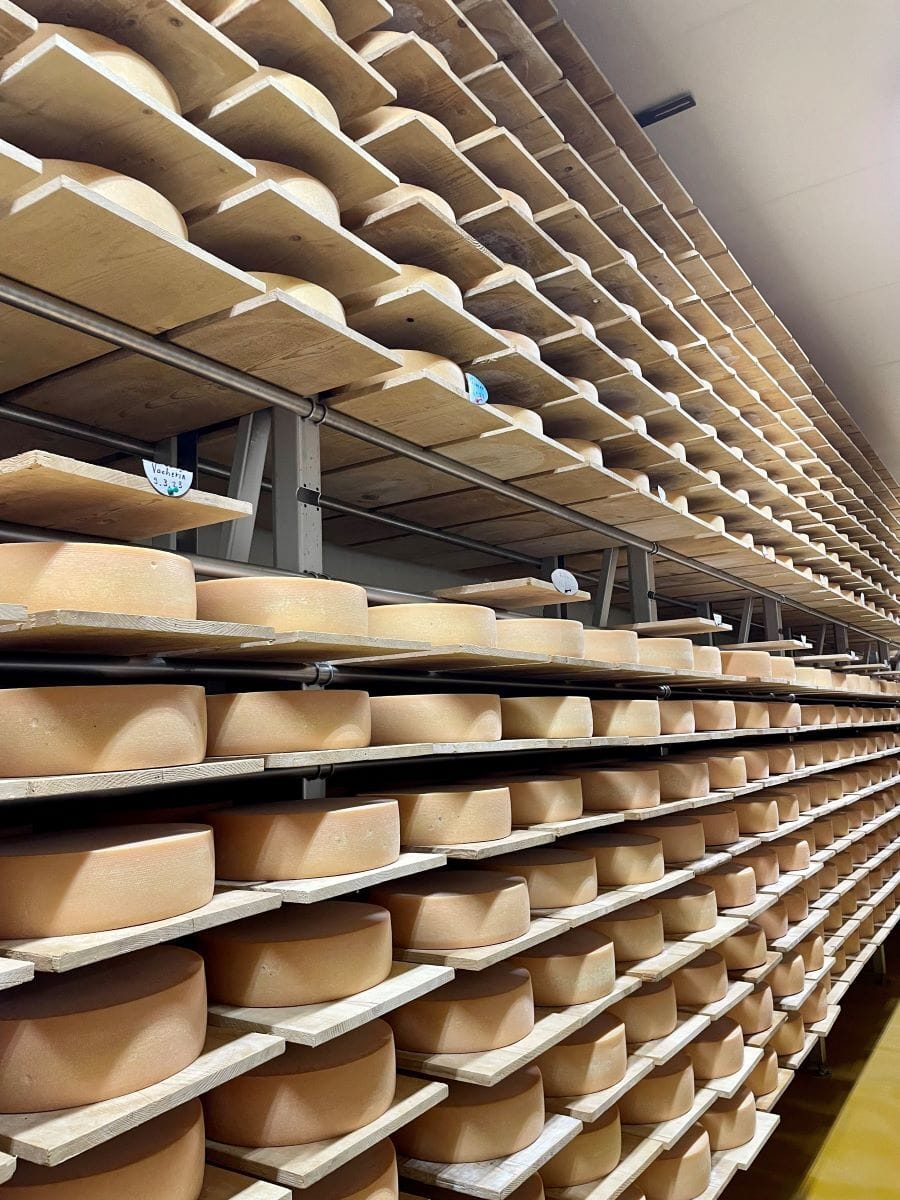 Bild Käsekeller der Firma Lenk Milch