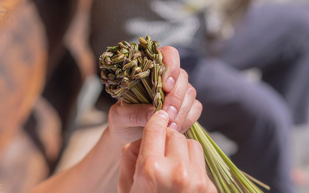 Das Berner Oberland: Ein Besengebiet