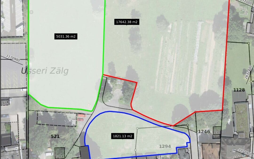 Interlaken startet Ausschreibung für Zwischennutzung der Des-Alpes-Wiese