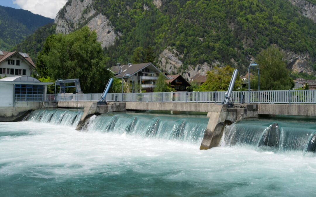 IBI setzt 2025 etwas weniger ab