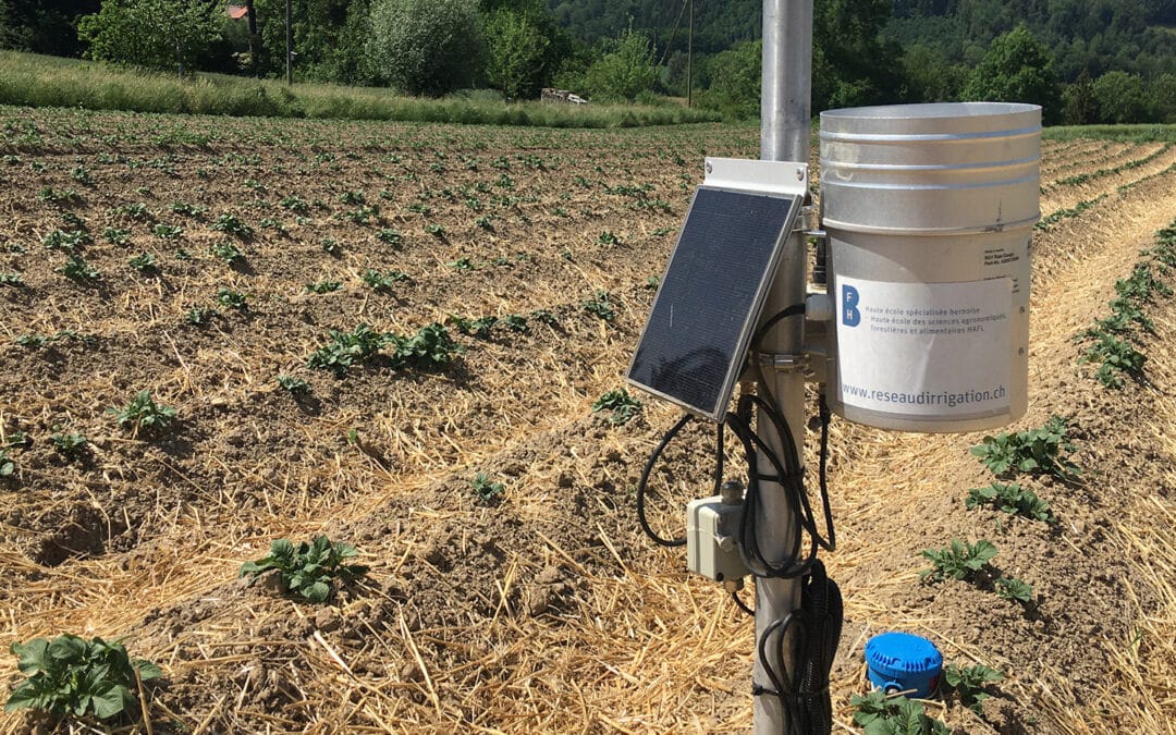 Mit AgriAqua soll Wasser in der Landwirtschaft besser genutzt werden