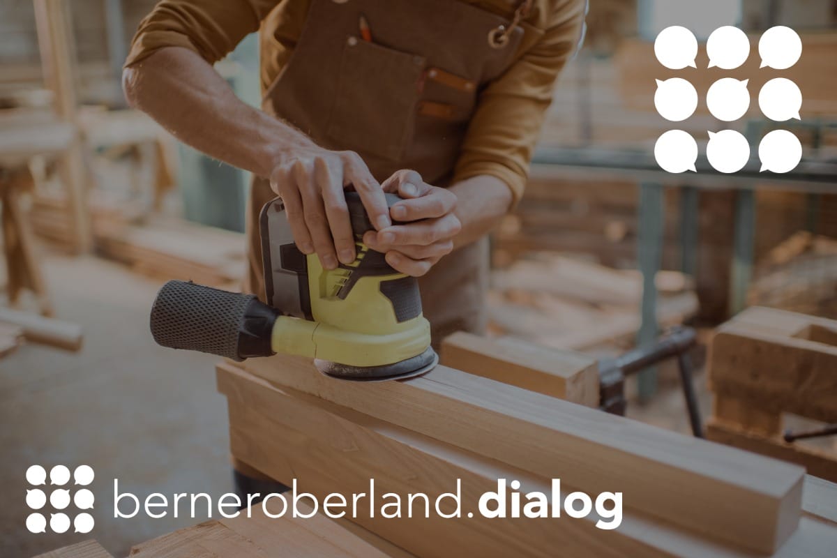 Visual berneroberland.dialog 2027