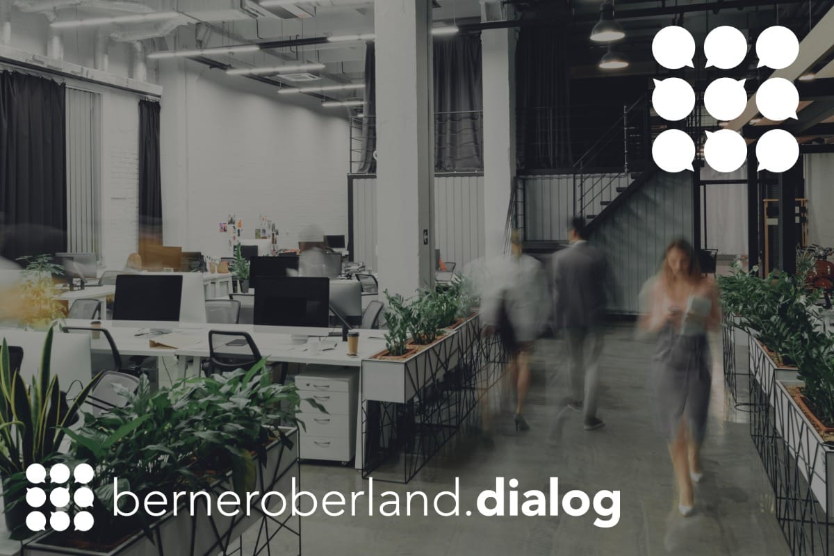 Visual berneroberland.dialog 2027